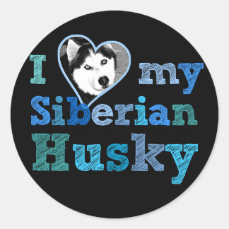 I Love My Siberian Husky Large Sticker