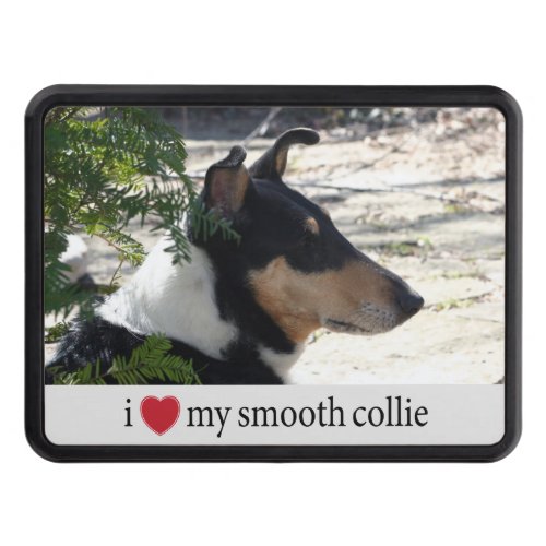 I love my Smooth Collie Hitch Cover