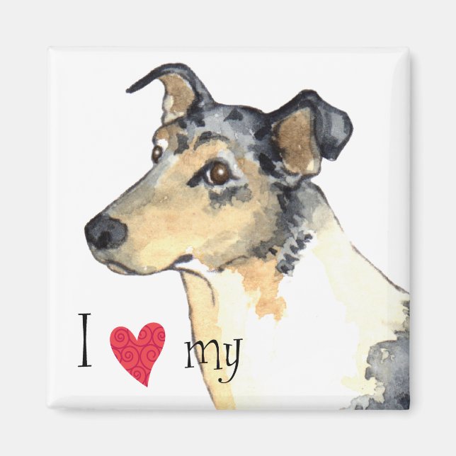 I Love my Smooth Collie Magnet (Front)