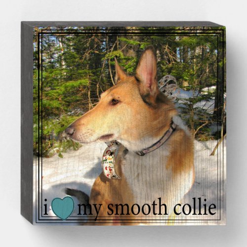 I love my Smooth Collie with Black Border Wooden Box Sign