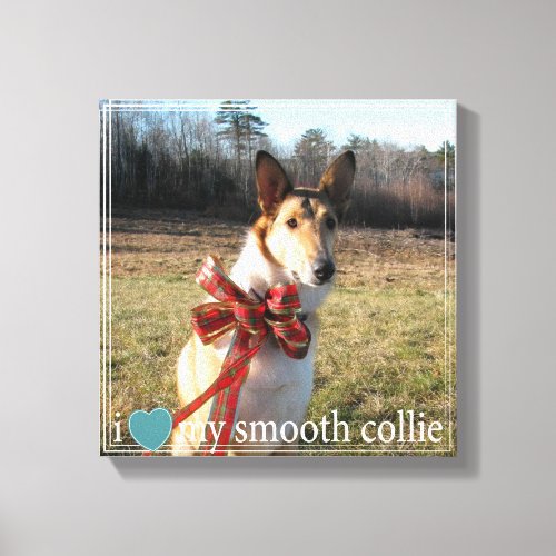 I love my Smooth Collie with Geometric border Canvas Print