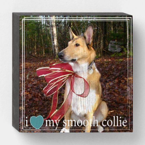 I love my Smooth Collie with White Border Wooden Box Sign