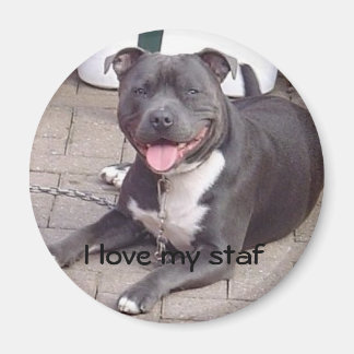 I love my staf magnet