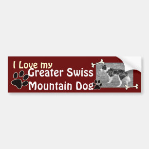 I love my Swiss Mountain Dog Bumper Sticker