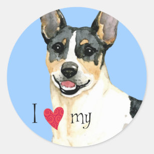 I Love my Teddy Roosevelt Terrier Classic Round Sticker
