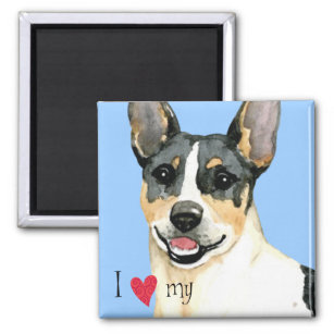 I Love my Teddy Roosevelt Terrier Magnet