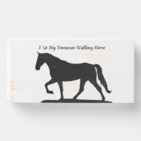 I love My Tennessee Walking Horse