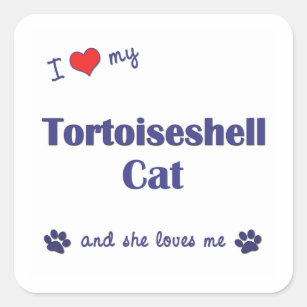Cats,Save the animals,adopt a pet SAVE THEM /"I LOVE My Lynx Point Siamese/" Cat