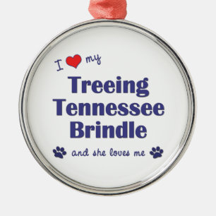 I Love My Treeing Tennessee Brindle (Female Dog) Metal Ornament