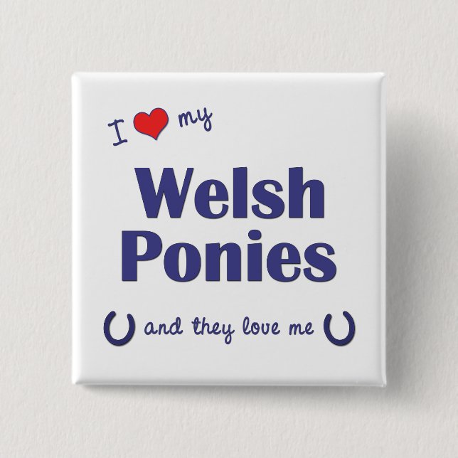 I Love My Welsh Ponies (Multiple Ponies) Pinback Button (Front)