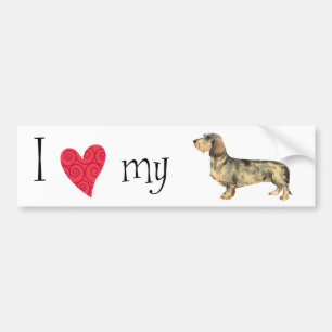 I Love my Wirehaired Dachshund Bumper Sticker