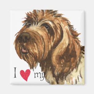 I Love my Wirehaired Pointing Griffon Magnet