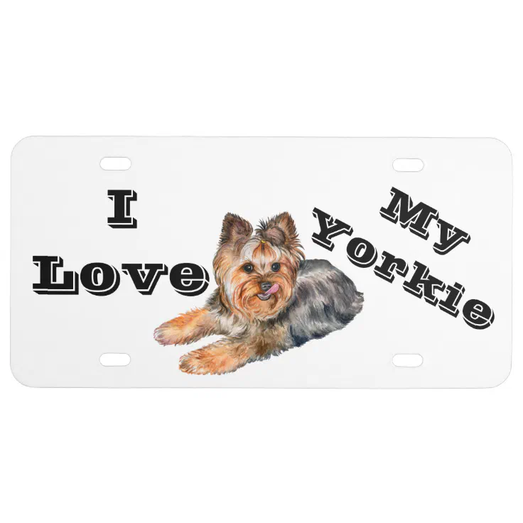 are yorkies loving