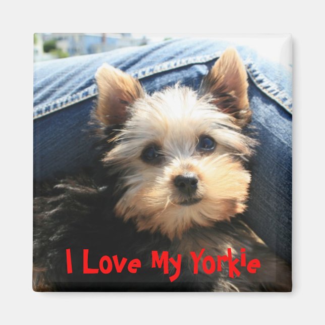 I Love My Yorkie Magnet (Front)