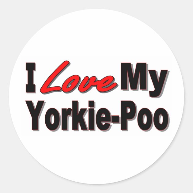 Yorkie poo gifts Clearance