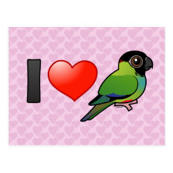 I Love Nanday Conures Postcard