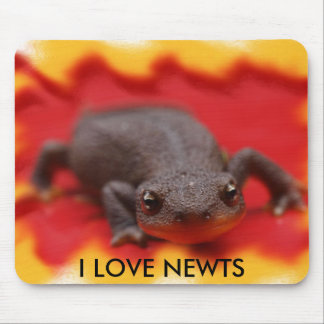 I Love Newts Mouse Pad