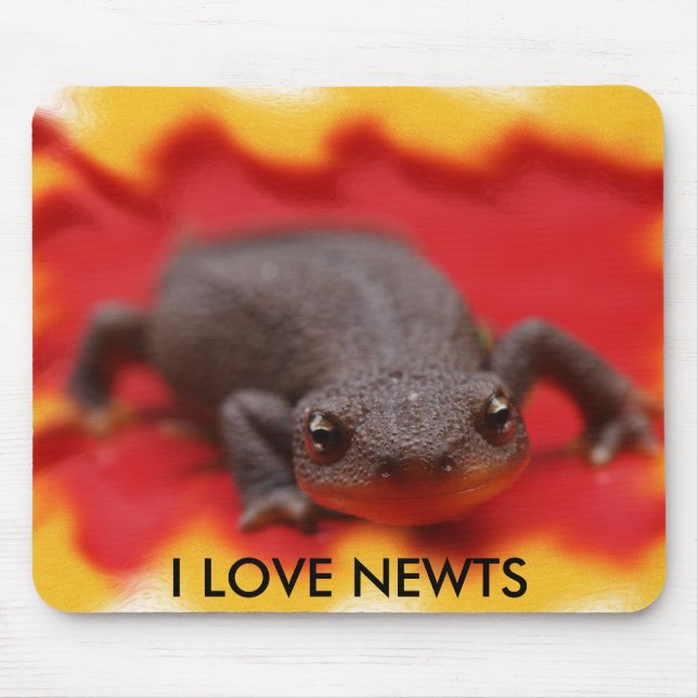 I Love Newts Mouse Pad (Front)