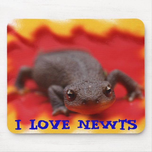 I Love Newts Mouse Pad (Front)