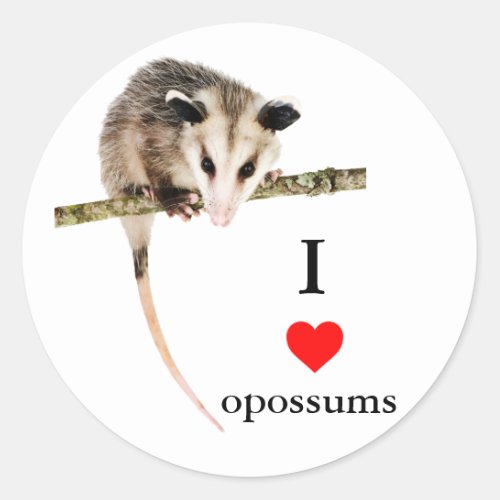 I Love Opossums Sticker