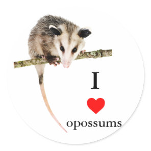 I Love Opossums Sticker