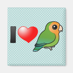 I Love Orange-faced Peach-faced Lovebirds Square Magnet