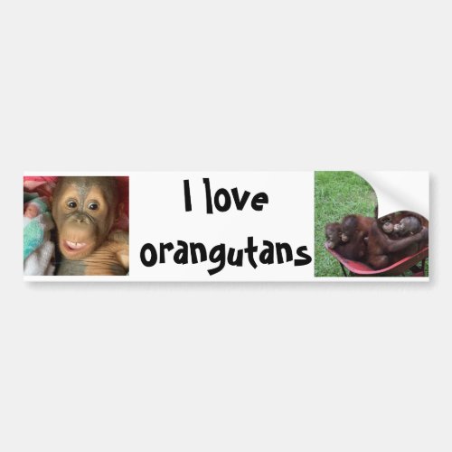 I Love Orangutans Bumper Sticker