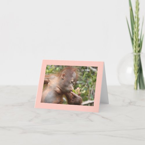 I Love Orangutans Card