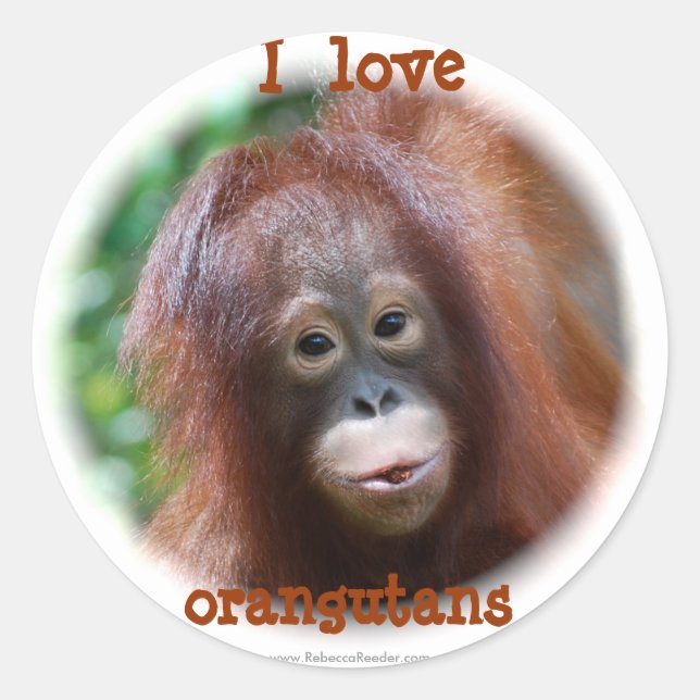I love orangutans classic round sticker (Front)