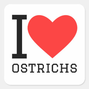 I love ostrichs square sticker