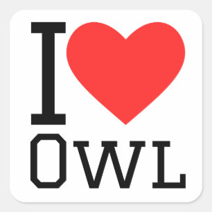I love owl square sticker