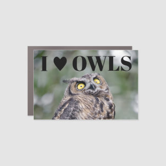 I Love Owls Car Magnet