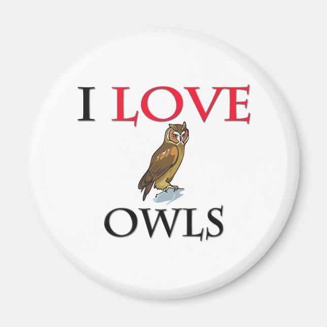 I Love Owls Magnet (Front)