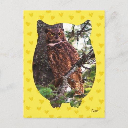 I Love Owls Yellow _ Postcard