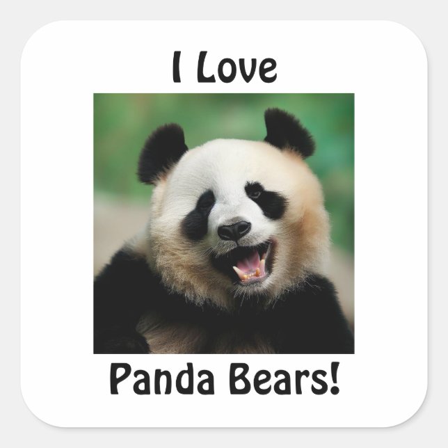I Love Panda Bears Square Sticker (Front)