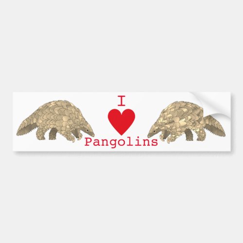 I Love Pangolin Endangered Species Animal Activist Bumper Sticker