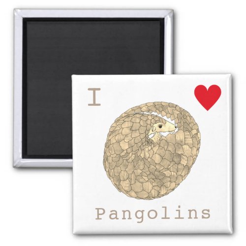I Love Pangolins adorable animal slogan Magnet