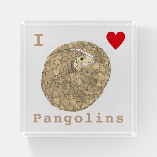 I Love Pangolins Endangered Species Animal Art Paperweight