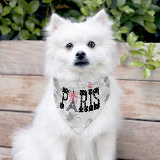 I Love Paris Pet Bandana Collar