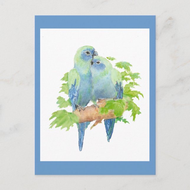 I love Parrots, Tropical Bird Collection Postcard (Front)