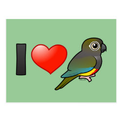 I Love Patagonian Conures Postcard