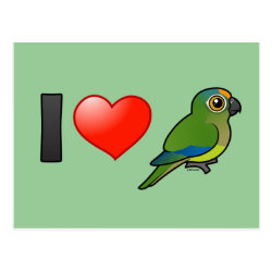 I Love Peach-fronted Conures Postcard