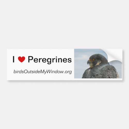 I Love Peregrines Pittsburgh Bumper Sticker