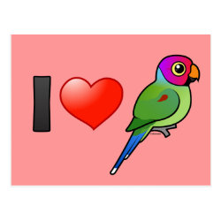 I Love Plum-headed Parakeets (male) Postcard