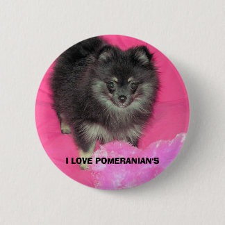 I LOVE POMERANIAN'S PINBACK BUTTON