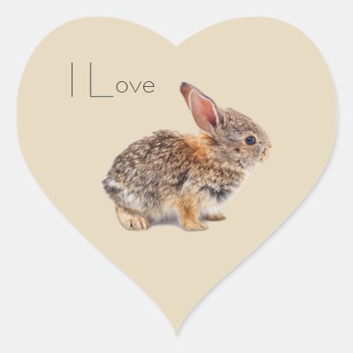 I Love Rabbits Bunny Heart Sticker