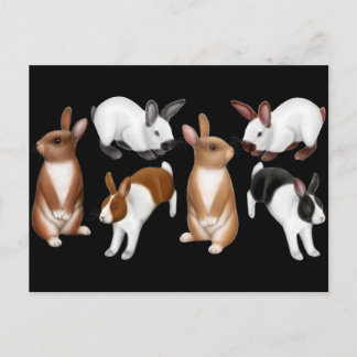 I Love Rabbits Postcard