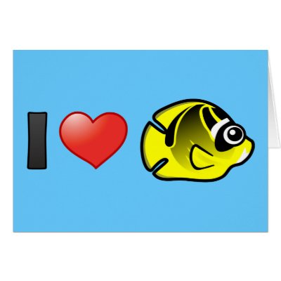 I Love Raccoon Butterflyfish