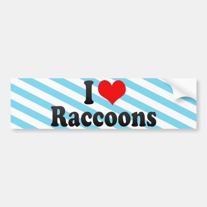 I Love Raccoons Bumper Sticker