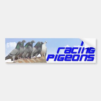 I Love Racing Pigeons Bumper Sticker by naturanoe at Zazzle